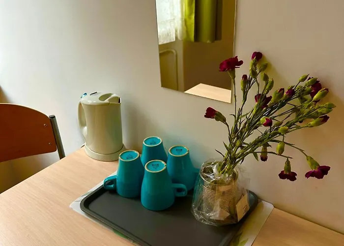 Lilia House Πόζναν